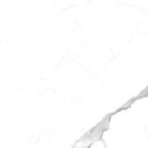 MAGICAL STATUARIO 60*120